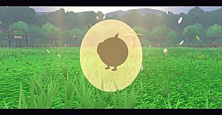 Munshi Meadows