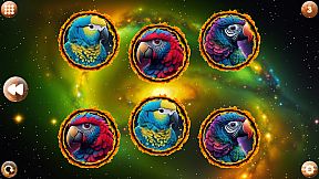Space Memory: Parrots