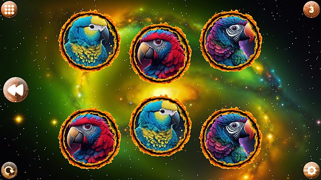 Space Memory: Parrots