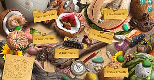 So Much Stuff Collector's Edition