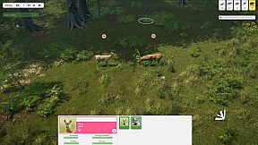 Natural Instincts: European Forest