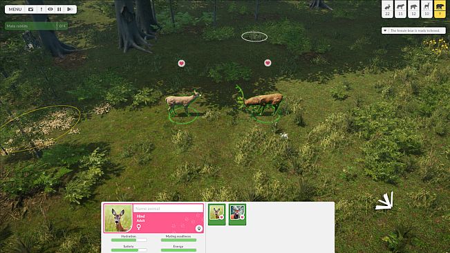 Natural Instincts: European Forest