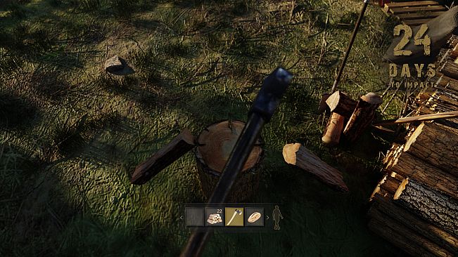 Asteroid Impact Survival