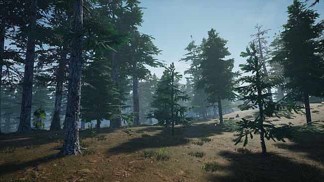 Mushroom Picker Simulator