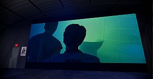 Stereoscopy