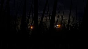 Nightvision: Drive Forever