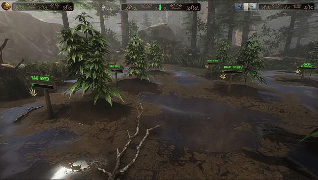 Cannabis Farmer Strain Master