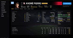Football Academy Director