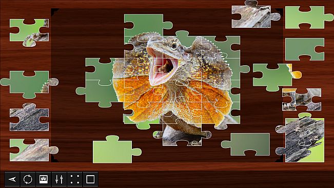 Jigsaw Puzzle World - Reptiles 2