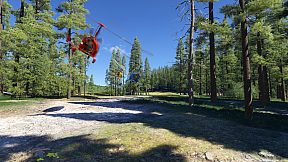 Microsoft Flight Simulator 2024