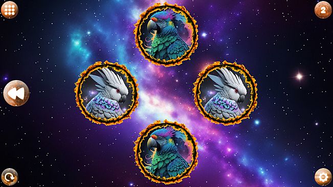 Space Memory: Parrots