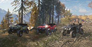 theHunter: Call of the Wild - ATV SABER 4X4