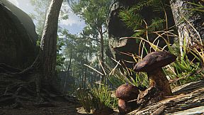 Mushroom Collector Simulator