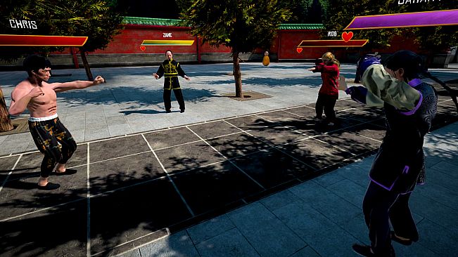 Dragon Fist: VR Kung Fu