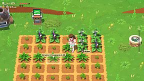 Harvest Moon: Home Sweet Home Special Edition