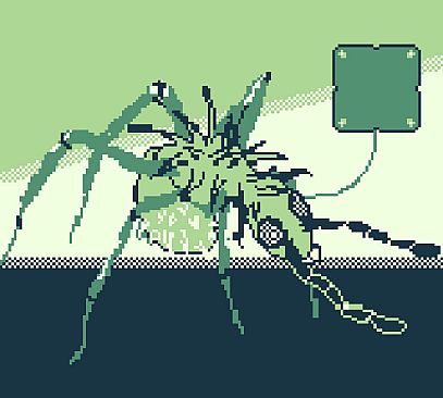 LesbiAnts - Our New Morphology