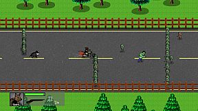 Spark The Battle Dog