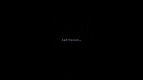 a pet shop after dark