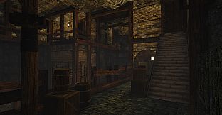 Seek: Light Through Darkness
