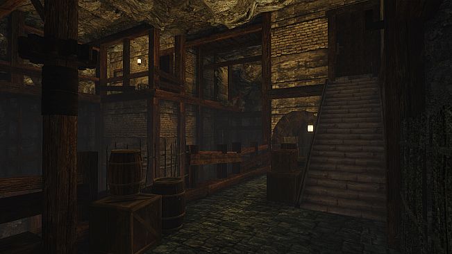 Seek: Light Through Darkness
