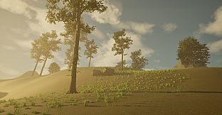 BEYOND XII