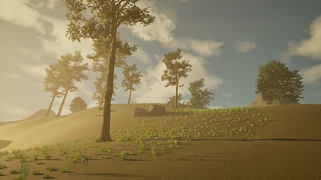 BEYOND XII