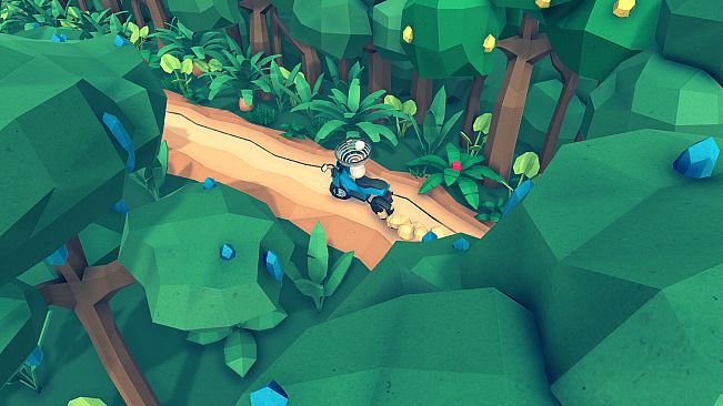 Eggcelerate! to the Tropics