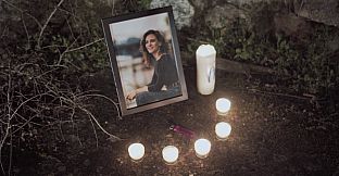 The Traveller's Sight