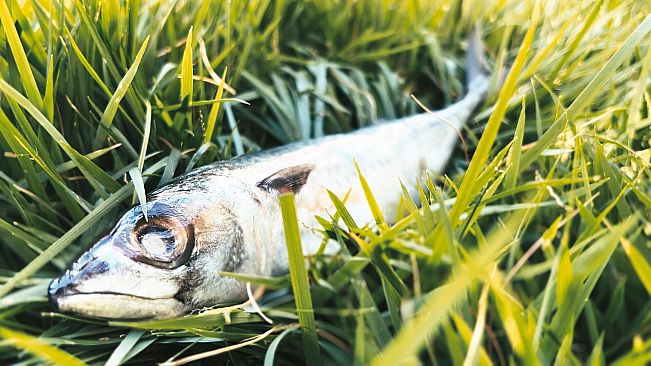 The Empty House - A Dementia Interactive Experience