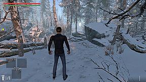 The Assailant's Arrival