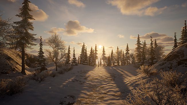 Temple of the Green Moon