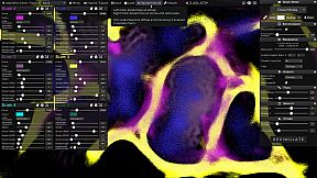 PHYSARUM: Slime Mold Simulator