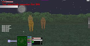 Missy's Transformation Tournament