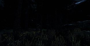 Undergrowth: VR Maze