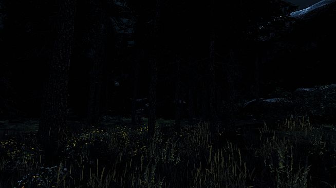 Undergrowth: VR Maze