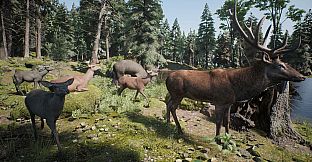 PROJECT HUNT - Trophy Sanctuary