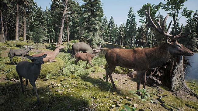 PROJECT HUNT - Trophy Sanctuary