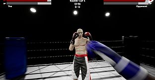 Boxing Simulator