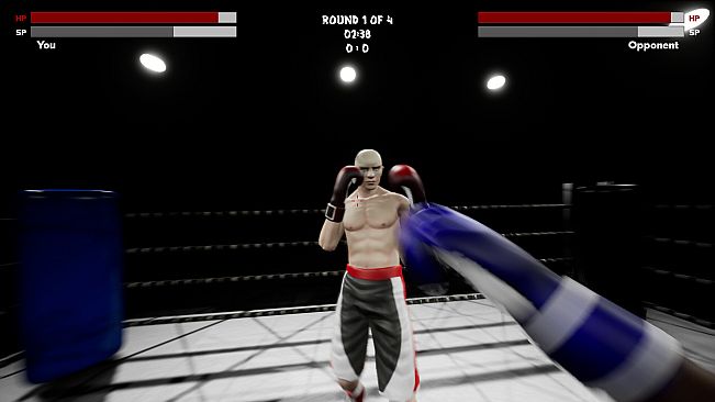 Boxing Simulator