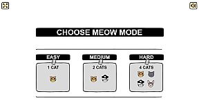 CATAIRE - Gambling with cats