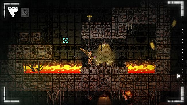 The 7th Sign Project