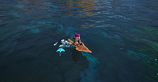 Voyagers of Nera - Whale and Dolphin Conservation