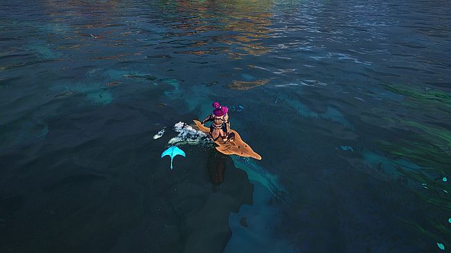 Voyagers of Nera - Whale and Dolphin Conservation