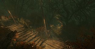 The Cursed Forest