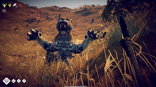 Survival: Foutain of Youth - Captain's Edition