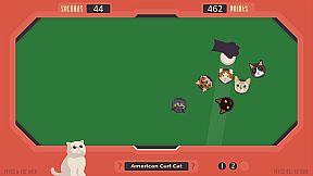 The Cat Games