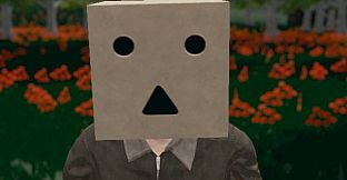 Hide and Seek - Box Head