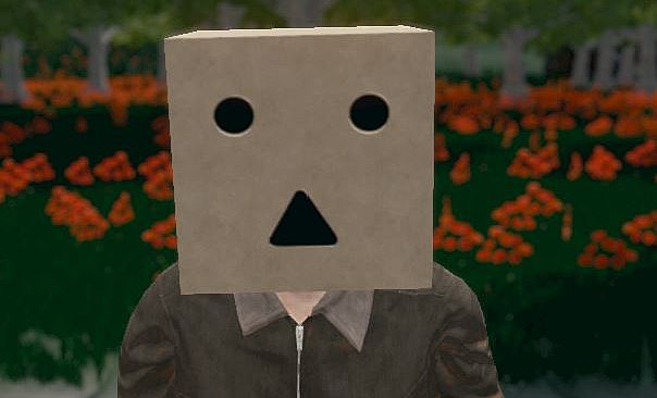 Hide and Seek - Box Head