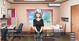 The Sound of Fireworks: The Haiku