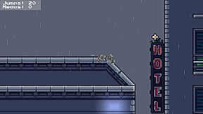 Rooftop Rascal: The Drizzle Cat